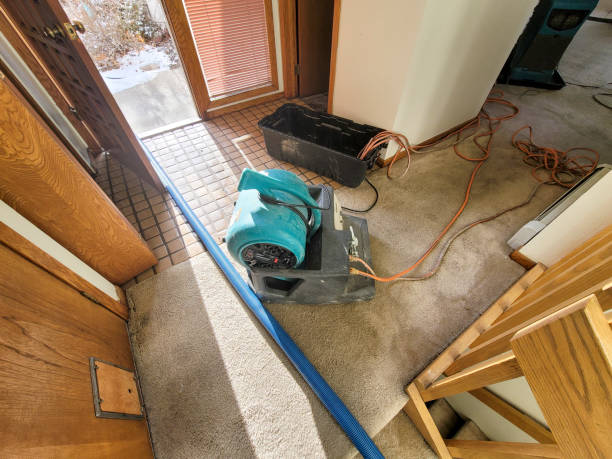 Best Water damage mitigation services  in George Mason, VA