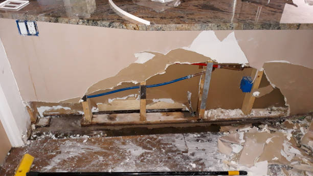 Best Flooded house restoration  in George Mason, VA
