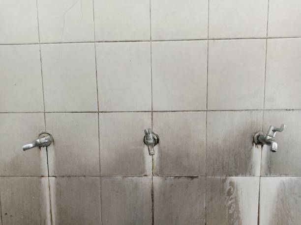 Best Basement water damage restoration  in George Mason, VA