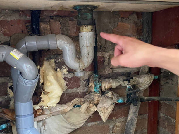 Best 24/7 water damage repair  in George Mason, VA