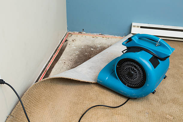 Best Sewage cleanup and water damage restoration  in George Mason, VA